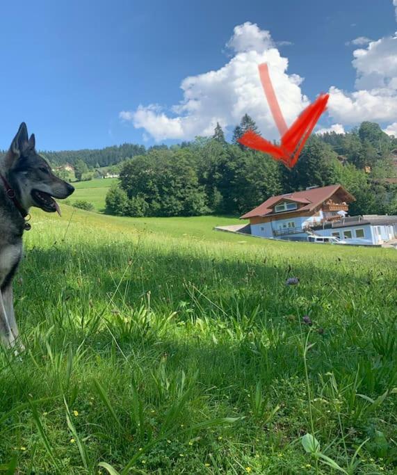 WegscheidUrlaub Mit Hund Im Salzburger Land公寓 外观 照片