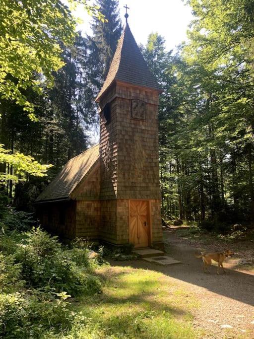 WegscheidUrlaub Mit Hund Im Salzburger Land公寓 外观 照片