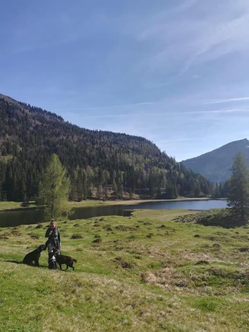 WegscheidUrlaub Mit Hund Im Salzburger Land公寓 外观 照片